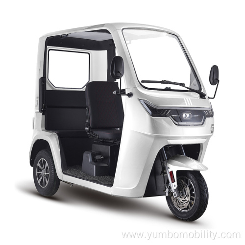 Low Speed Lectric Cabin Tricycle with Roof Canopy